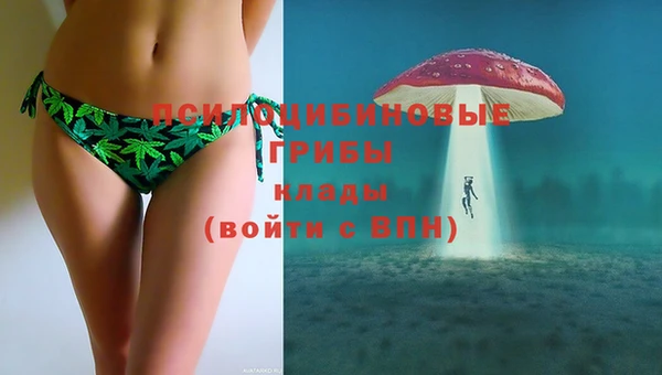 индика Волосово