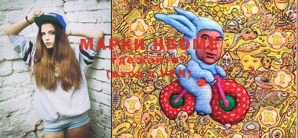 индика Волосово