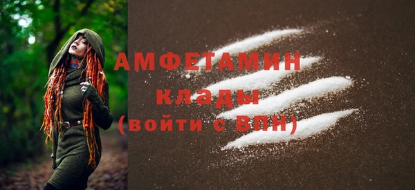 индика Волосово