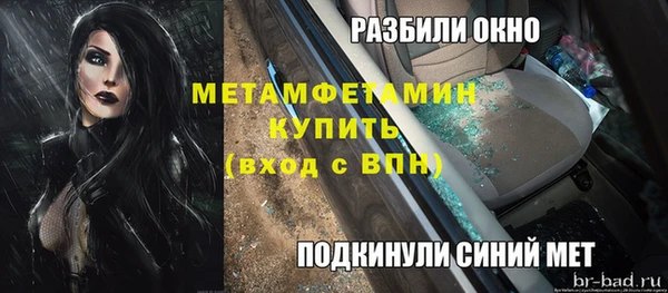 индика Волосово